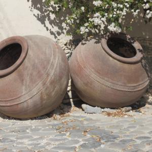 Daisy May Clay Pot