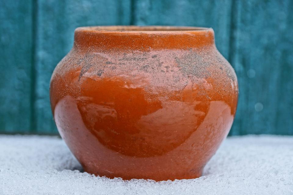 Daisy May Clay Pot
